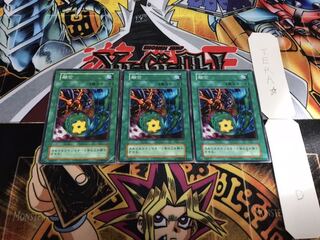 融合 初期 ノーマル 3枚セット 3枚