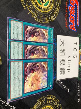 烙印の気炎 レア JP055 3枚セット プレイ用