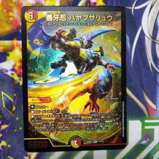 Roaring Fang Shinobi Hayabusa Ryu