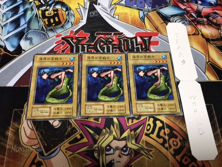 海原の女戦士 初期 ノーマル 3枚セット 3枚