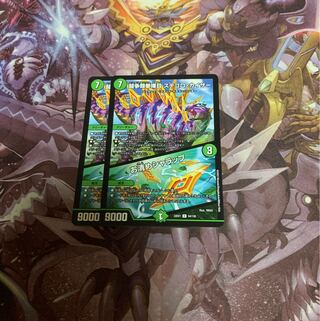 闘争類拳嘩目 ステゴロ・カイザー｜お清めシャラップ2枚