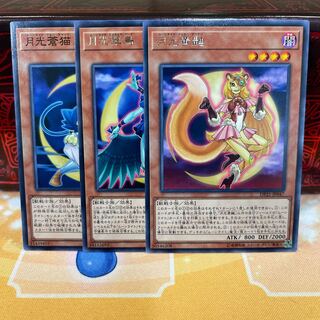 No.1544 P shop moonlight set