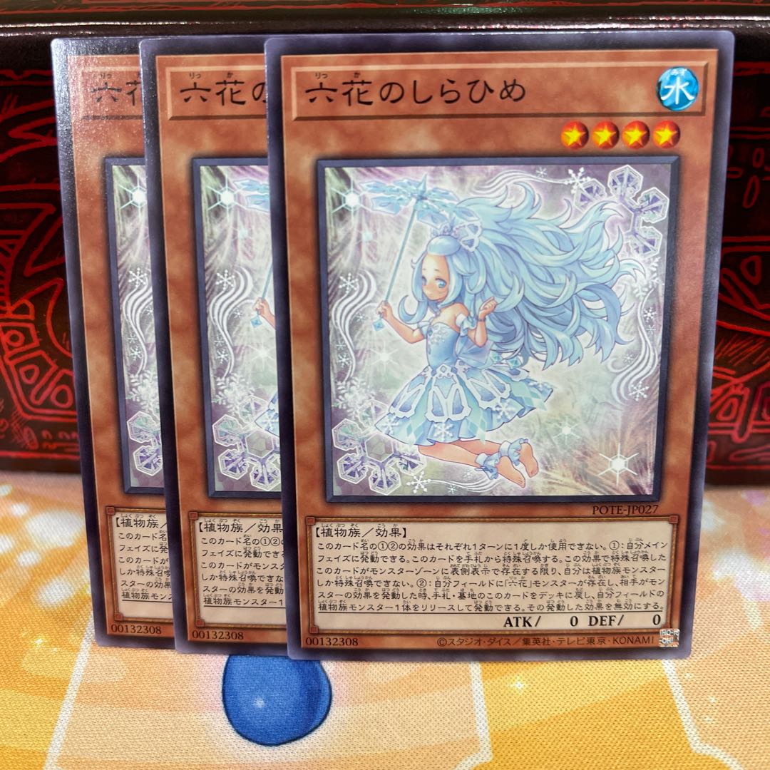 No.1555 P shop Rokka no Shirahime [no