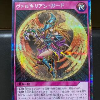 遊戯王　ヴァルキリアンガード　シク