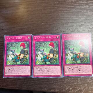 Subterror Succession Normal JP040