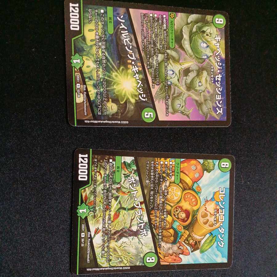 Collen Coco Tank｜Bont Plantivo R 56/130 Cabbage Sessions/Soil Pimp Cabbage