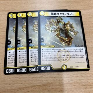 Eich Zaks Cotto 5/????????????