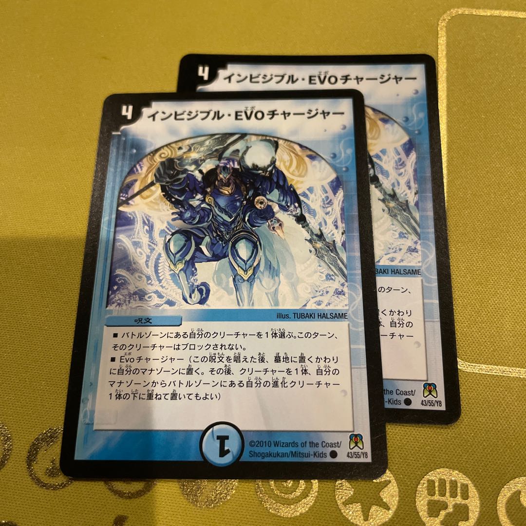 Invisible EVO Charger C 43/55/Y8