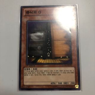 Maxx "C" Normal Korean Edition