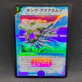 キング・アクアカムイ＠000339