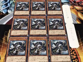 雷電龍–サンダー・ドラゴン レア 9枚セット