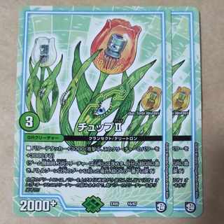 チュップII　2枚 2枚