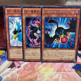 No.1303 P shop BF set