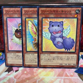 No.1460 P shop, furnimale set