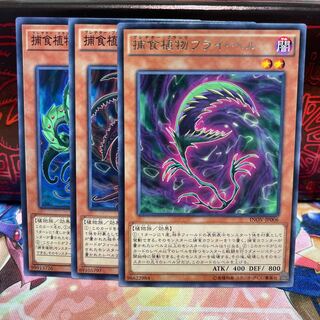 No.935 P屋 Prey Upon Plant Set