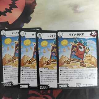 バイナラドア R 80/80 [2017] 1枚