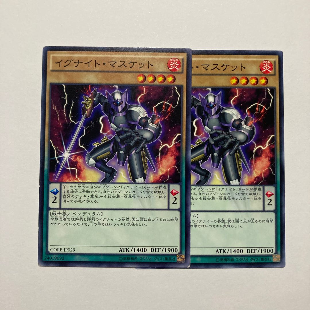 Igknight Paladin Normal JP029