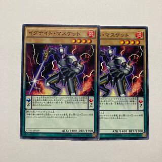 Igknight Paladin Normal JP029