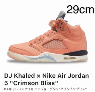DJ キャレド × ナイキ エアジョーダン5 "クリムゾンブリス" クリムゾンブリス/レーチェブルー/セイル DV4982-641 29cm
