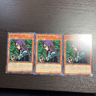 Witch of the Black Forest Normal JP016