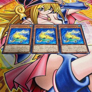 エクシーズ・スライドルフィン ノーマル JP023