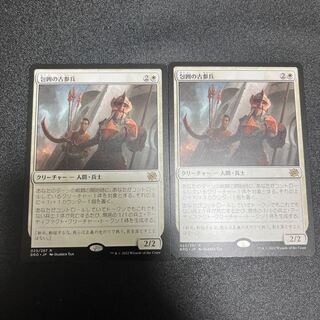 The Old Soldiers of the Siege