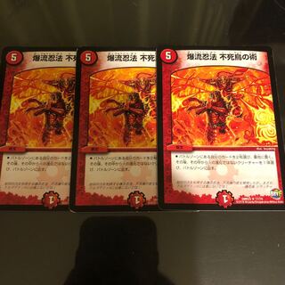 爆流忍法 不死鳥の術