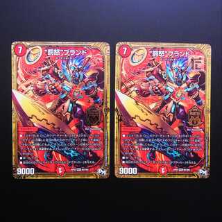 Punishment Rage" brand RP02 M2/M2 set of 2 /Manufacture:MD0386