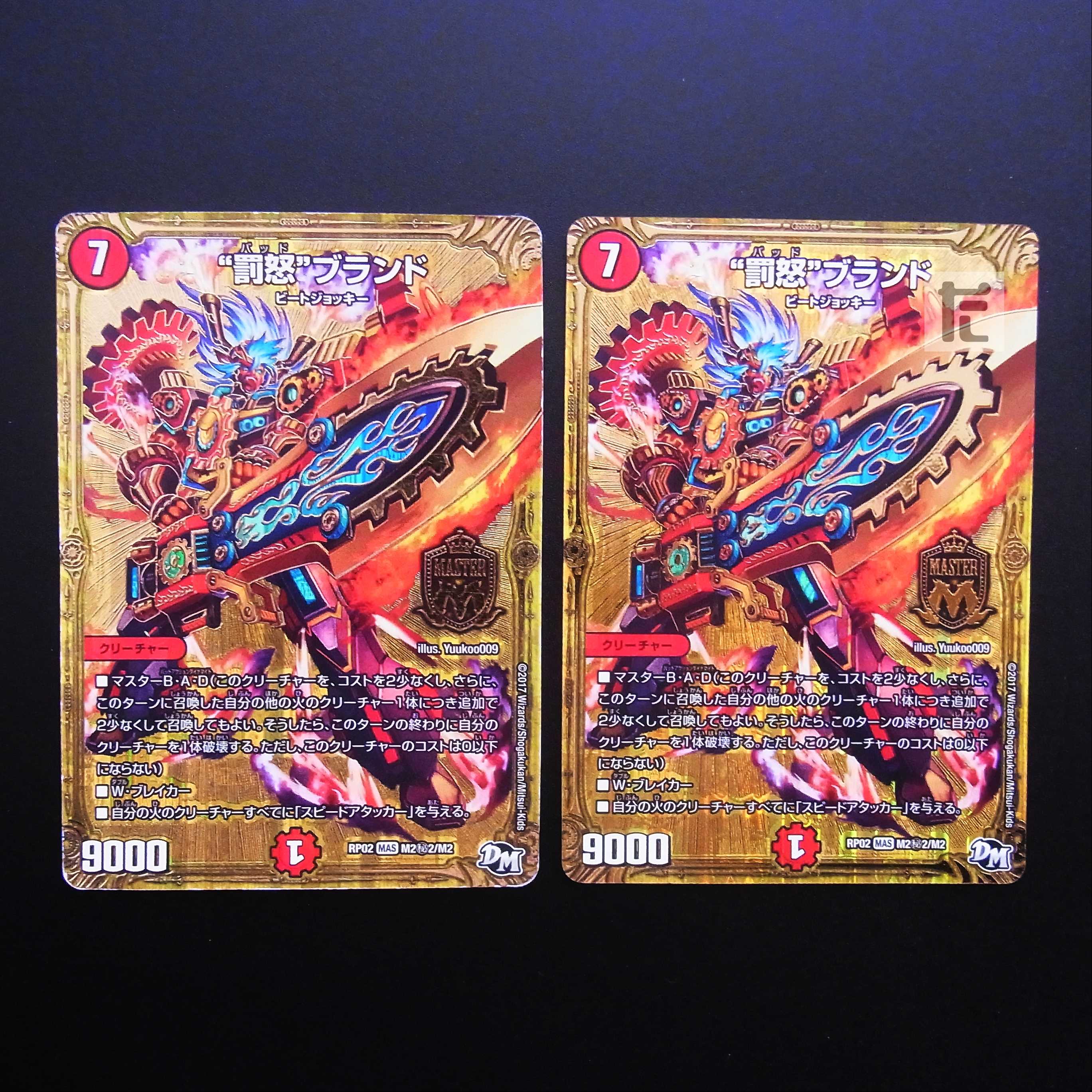 “罰怒”ブランド RP02 M2(秘)2/M2 2枚セット/管理:MD0385