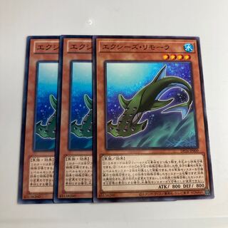 エクシーズ・リモーラ $1519