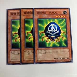 7558 Skull-Mark Ladybug $1527