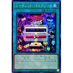 Asia ☆ Asia ☆ Secret Passphrase [Secret] {Asia SLF1-JP0...