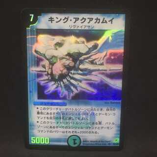 キング・アクアカムイ＠000364