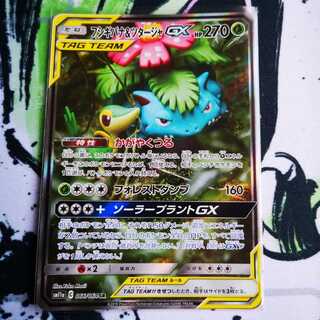 フシギバナ＆ツタージャGX SR