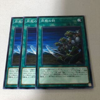 同胞の絆　ノーマル　3枚