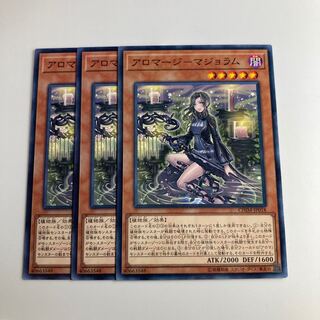 7585 Aromage - Marjoram $1560