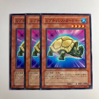 7588 レプティレス・ガードナー ノーマル JP016