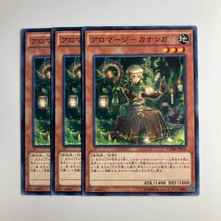 7596 アロマージ-カナンガ ノーマル JP035