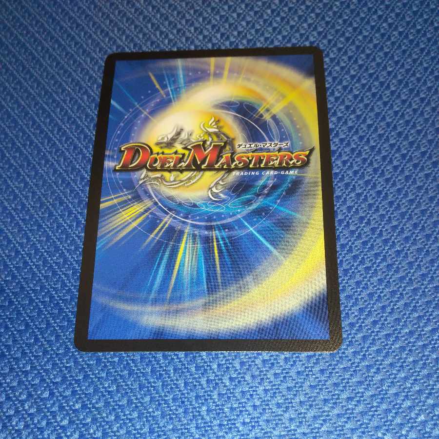 龍素記号wD サイクルペディア SR 18/130