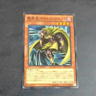 Wandering King Wildwind Normal JP013 1枚