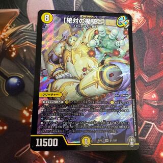 「絶対の楯騎士」 SR S1/S11