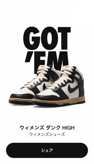 ナイキ ウィメンズ ダンクハイ "ブラックアンドセイル" ビンテージ/ブラック/ホワイト DZ4732-133 29cm