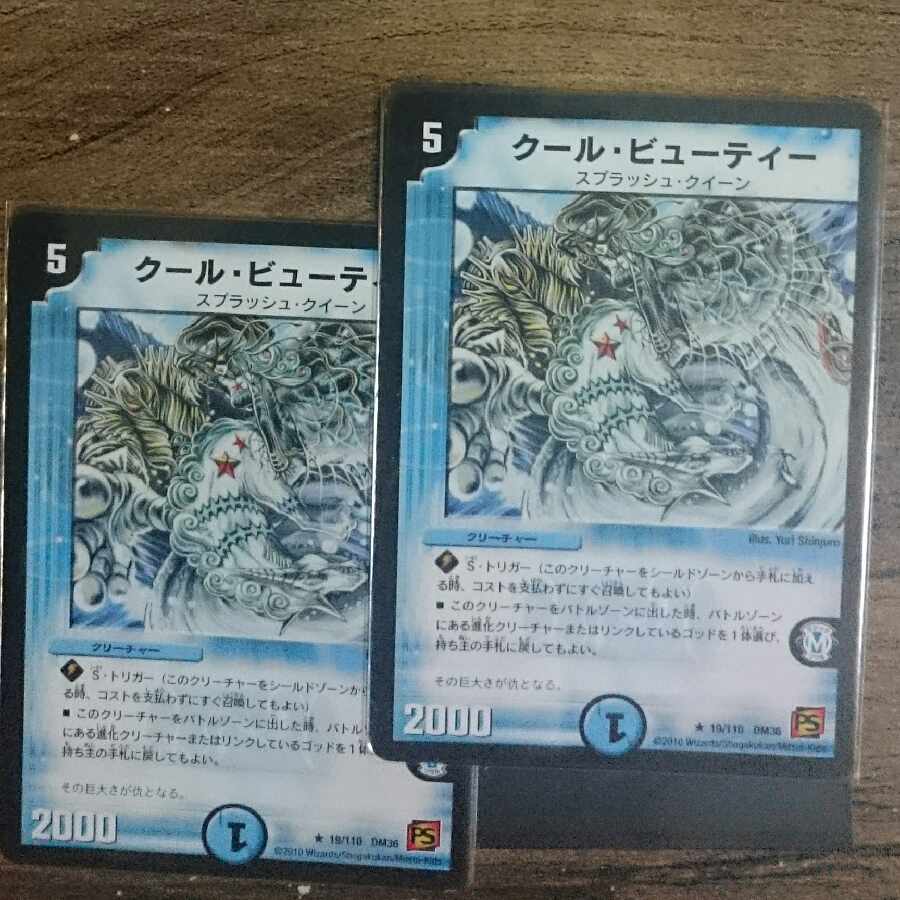 Cool Beauty R 19/110