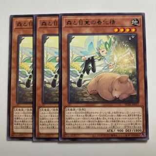 Forest and Awakening Vernalized Spirit $1639