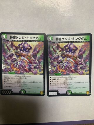 Shinra Kenji Kingdom 77/100 Set of 2