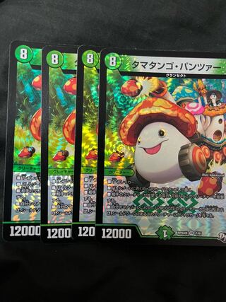 タマタンゴ・パンツァー　4枚 タマタンゴパンツァー 4枚