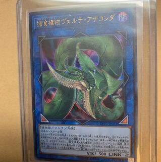 捕食植物ヴェルデ・アナコンダ