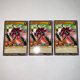 Flower Goby's Blackbana