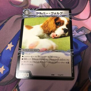 シルバー･ヴォルグ