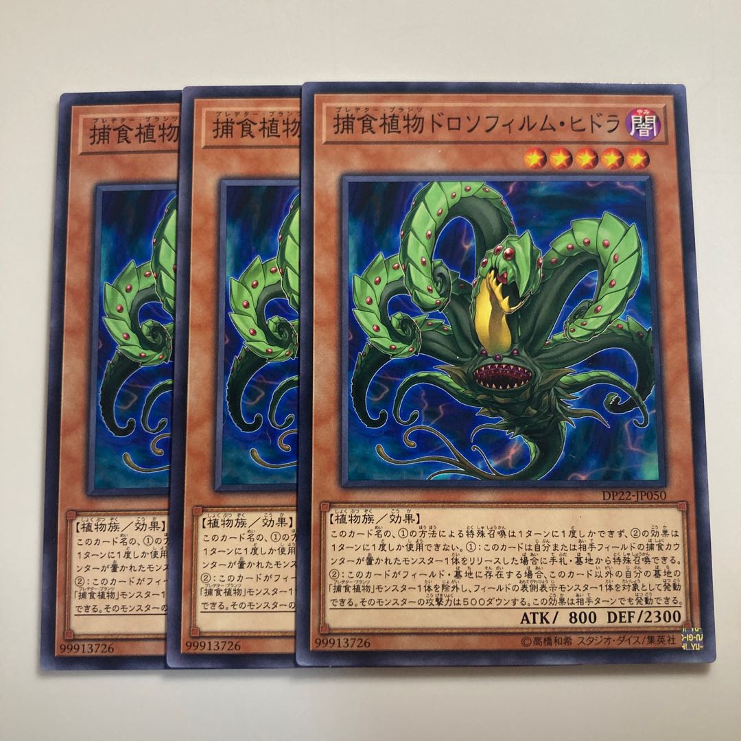 7675 Predaplant Drosophyllum Hydra $1726